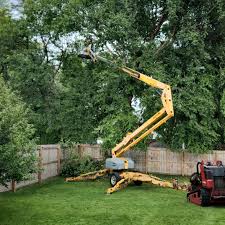 Mulching Services in Reidsville, NC